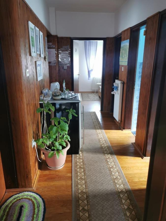 Gacka Rooms Vrhovine エクステリア 写真